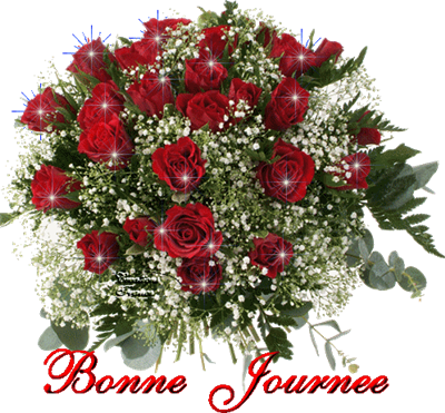 BONNE JOURNEE