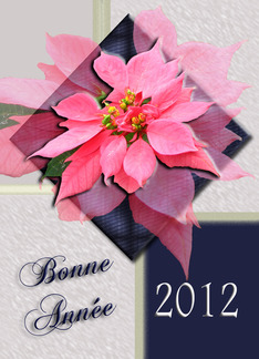 BONNE ANNEE