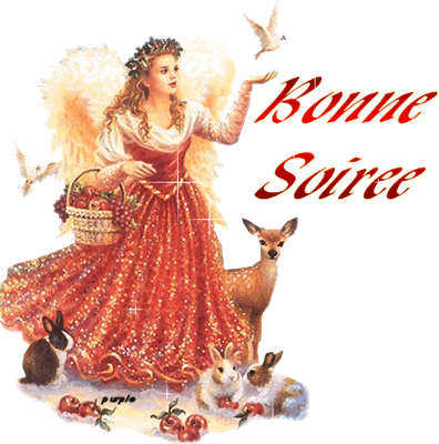 BONNE SOİRÉE