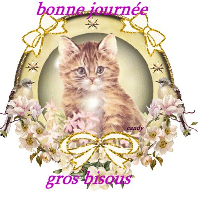 BONNE JOURNEE