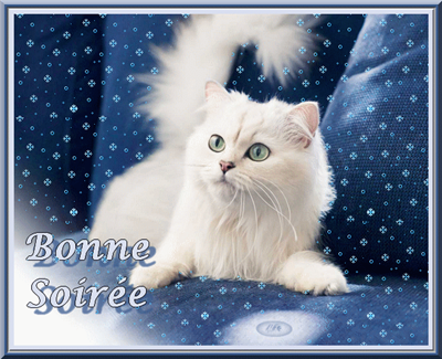BONNE SOİRÉE