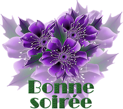 BONNE SOİRÉE