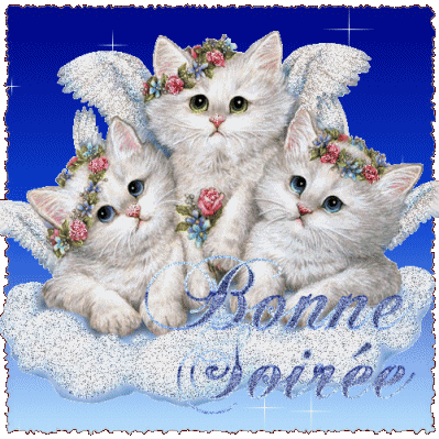 BONNE SOİRÉE
