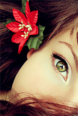 Spring Eye 0.4