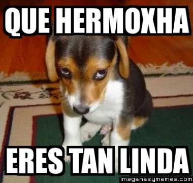 Que Tan Lindo Eres