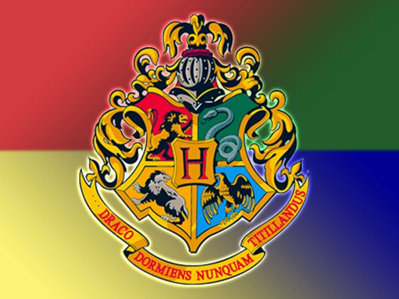 Hangi Hogwarts Binasındansın?