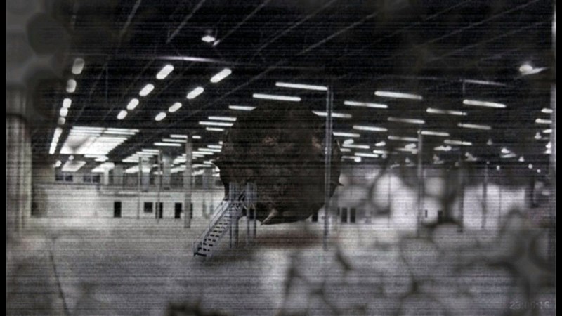 SCP-002