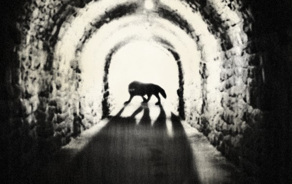 SCP-023