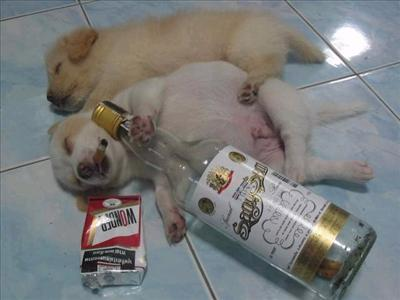 เมาไหมคืนนี้