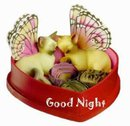 GOOD NİGHT