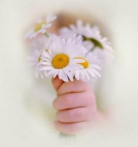 HAVE A NİCE DAY
