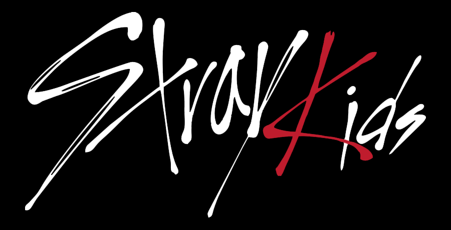 Hangi Stray Kids Üyesisin