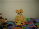 Cute Animal Gifts