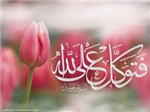 الورد الأحمر