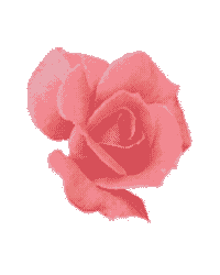 fleur