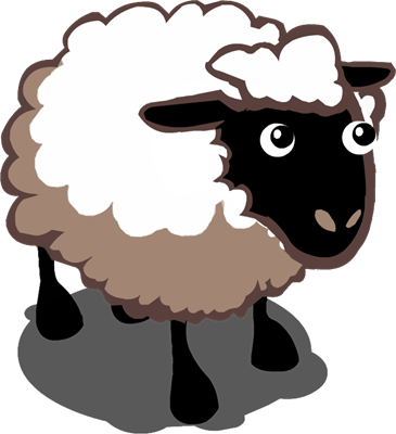 FV Sheep