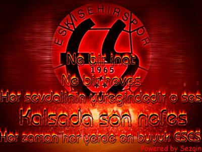 Türksel Süper Liginde Hangi Takımsın?
