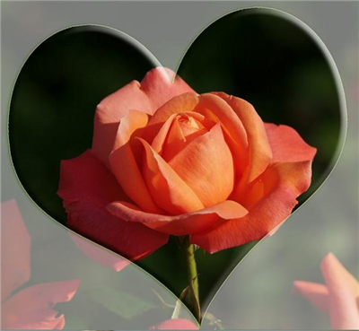 Happy Mothers Day