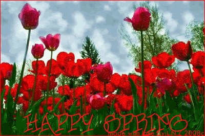 HAPPY SPRİNG
