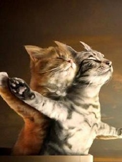 cats titanic love