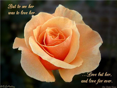 rose with thoughts