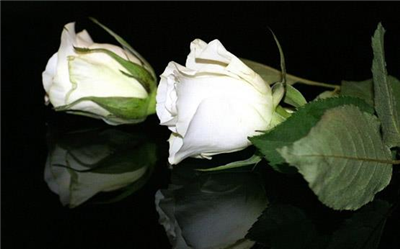GOOD EVENİNG