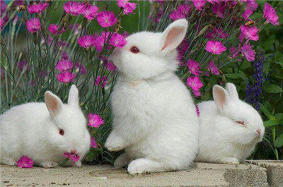 GOOG MORNİNG