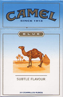 Camel