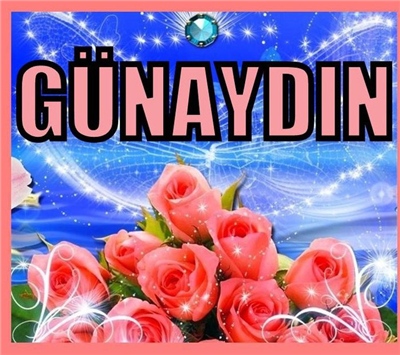 GÜNAYDIN