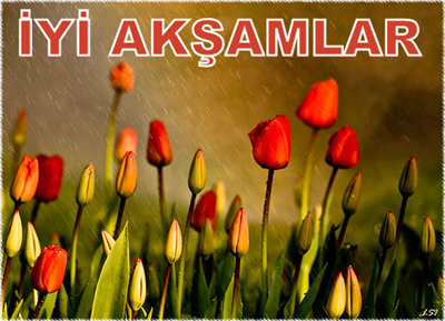 İYİ AKŞAMLAR