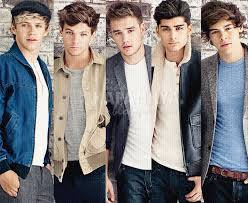 Geçek Directioner Misin ?