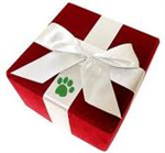Regalo Speciale