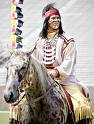 Appaloosa Horse
