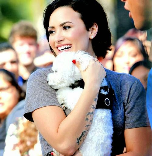 Demi Lovato Yu Seviyor Musn