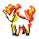 Ponyta