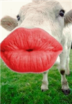 Besitos De Vaca