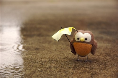 Chuva