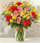 Valentine Carnations