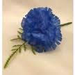 BLUE CARNATION