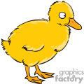 lucky ducky