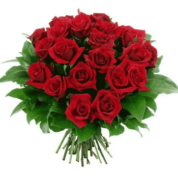 Flores