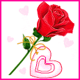cool