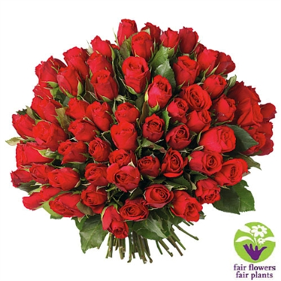 bouquet-of-100-roses-Red