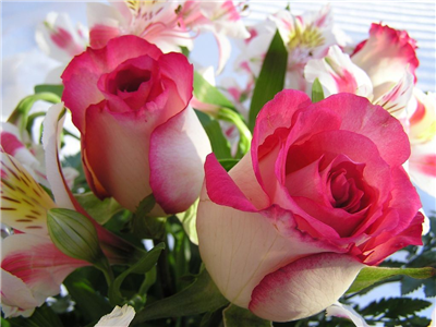 For your lovely weekend