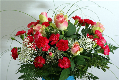 Rose Suprise
