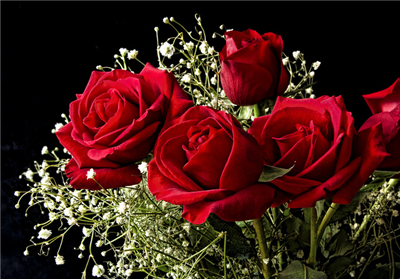 Rose-Bouquets,The magic