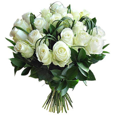  white roses