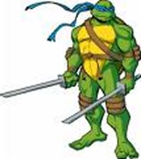 Hangi Tmnt Karakterisin?