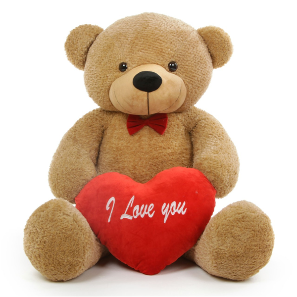 teddy
