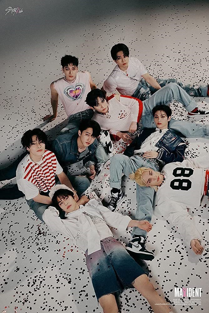 Hangi Stray Kids Üyesinin?